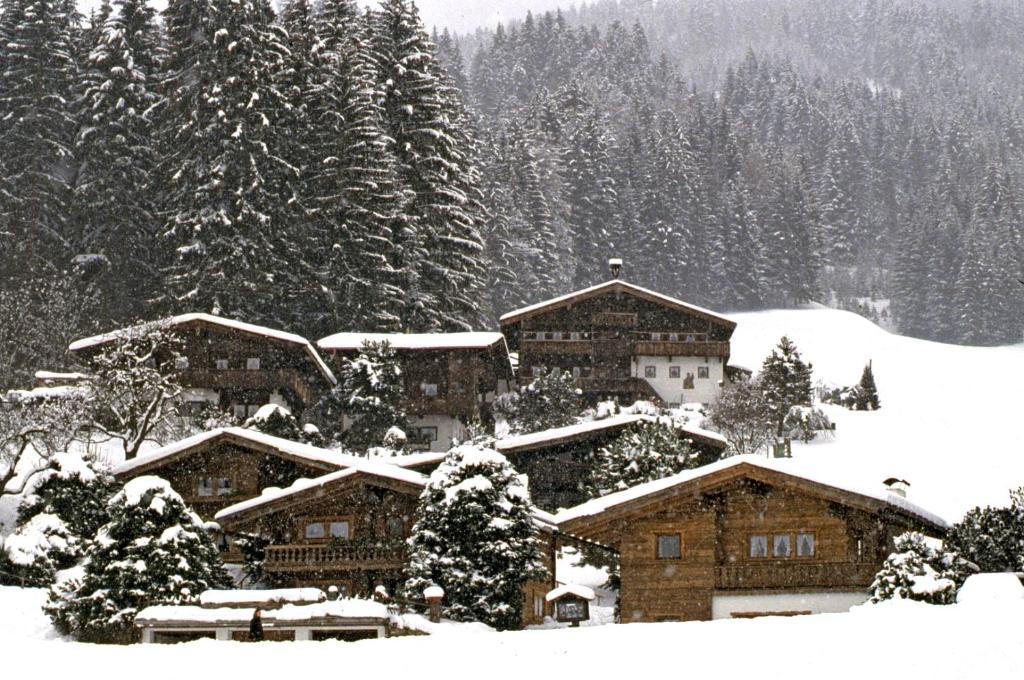 Ferienhaeuser Reither Almen Reith im Alpbachtal Room photo